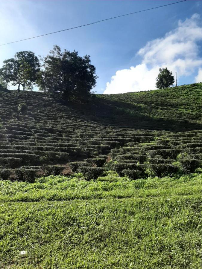 Chiangrai Resort House Ban Doi Hang エクステリア 写真